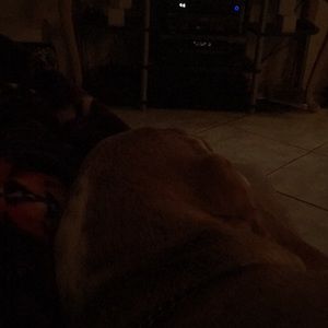 Meet your Posher, Autumn